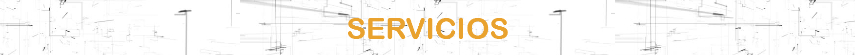 &nbsp;SERVICIOS 