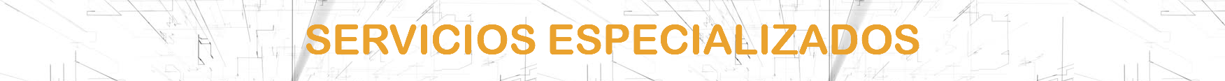 &nbsp;SERVICIOS ESPECIALIZADOS 